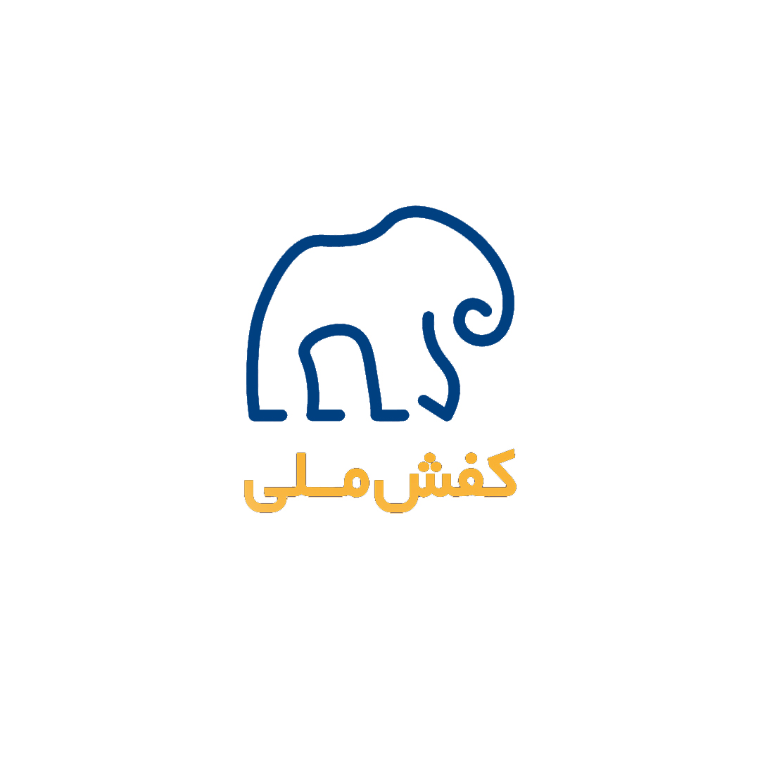 طراحی لوگو کفش ملی